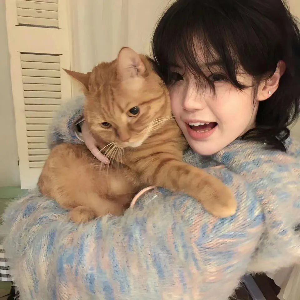 我用足球抽卡系统闯进世界杯